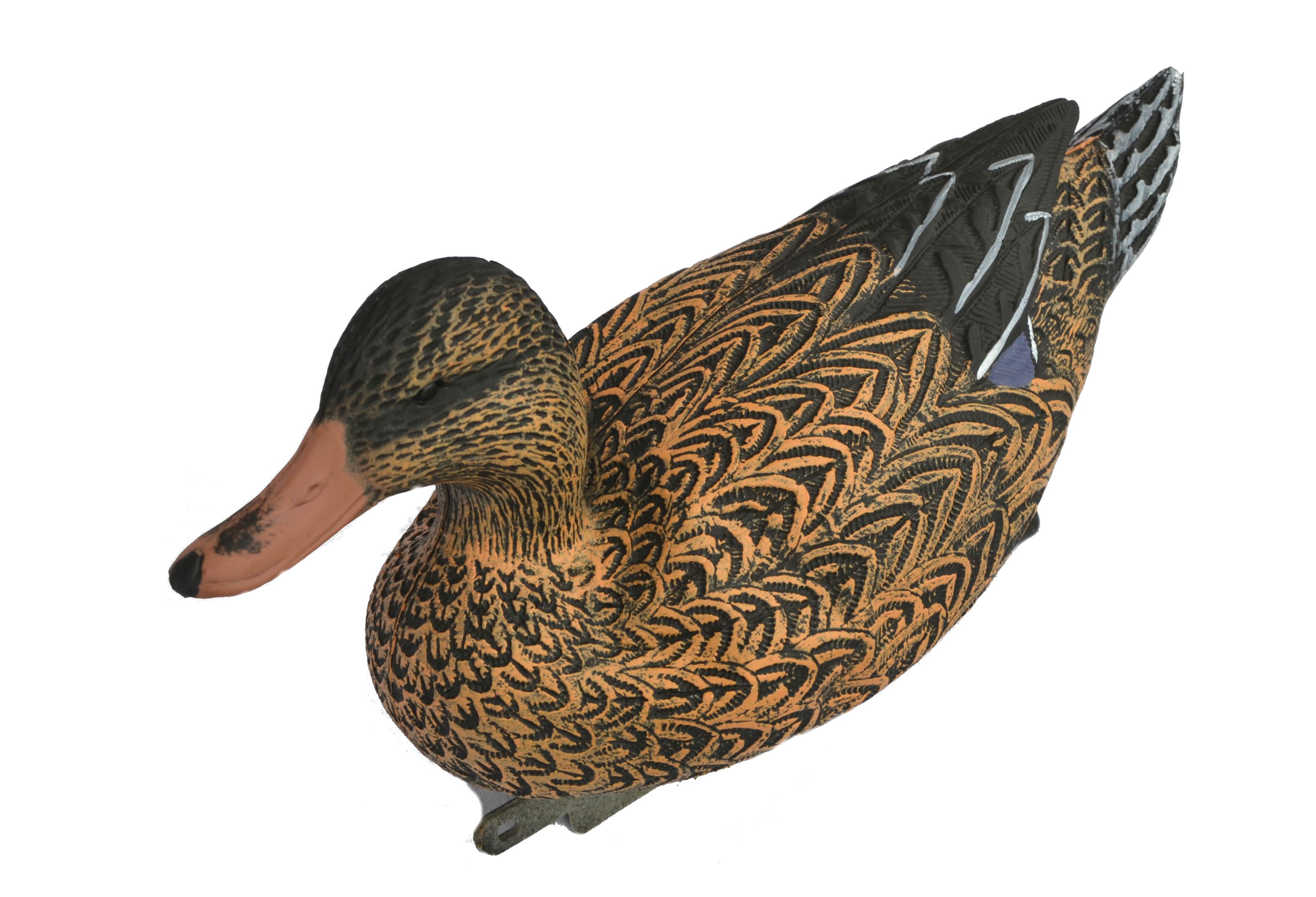 Чучело утка "Кряква"