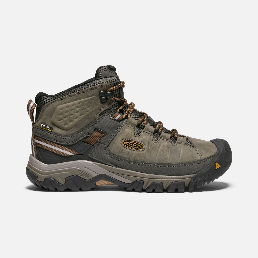 Ботинки  Targhee III Mid WP