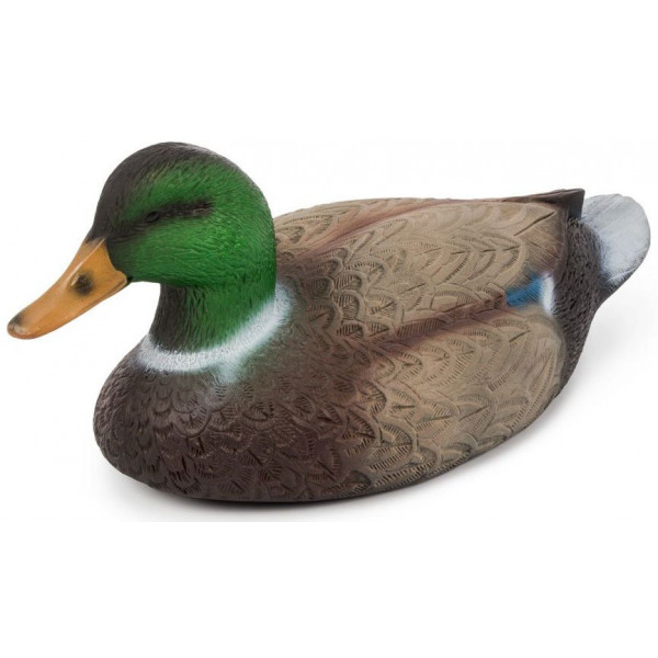 Чучело селезень "Кряква" отдыхающий