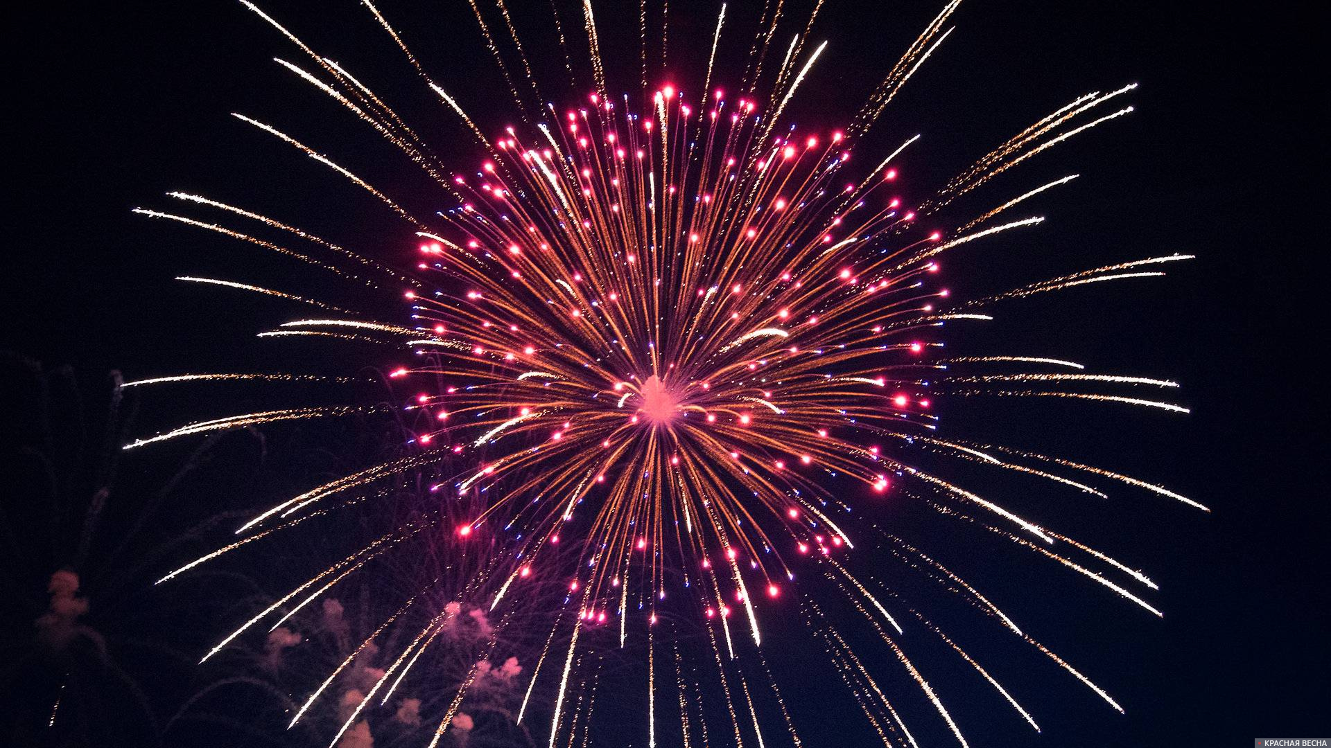 Батарея салютов "Плохие парни" (1/8/1),