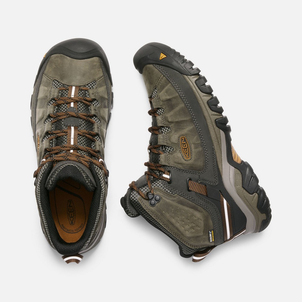 Ботинки  Targhee III Mid WP