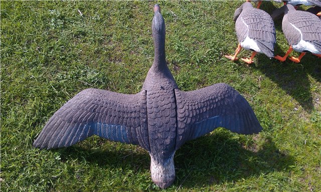 Чучело ГУСЬ белолобый (летящий, креп. на палку. подвижн. крылья.)