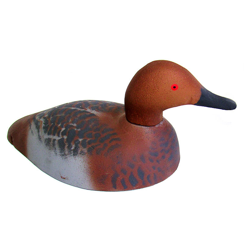 Чучело "Красноголовый нырок - утка", пенопласт