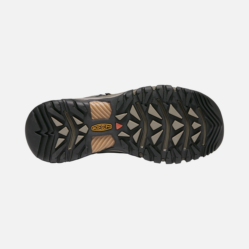 Ботинки  Targhee III Mid WP