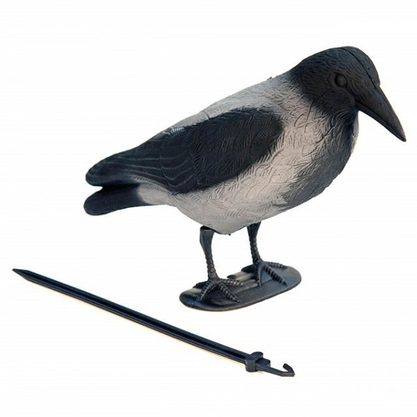 Чучело ворона серая с лапами (на опоре)