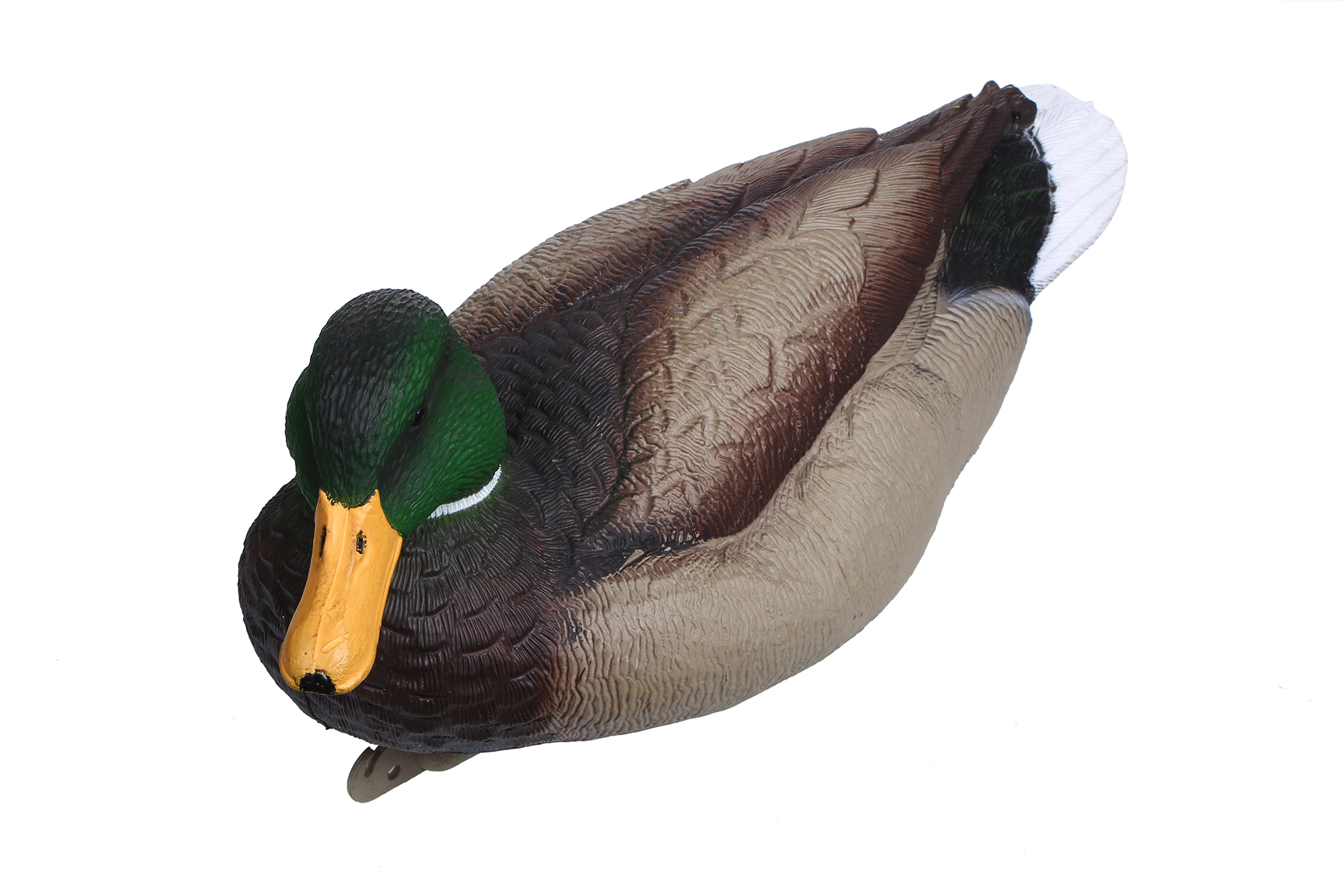 Чучело селезень "Кряква" отдыхающий