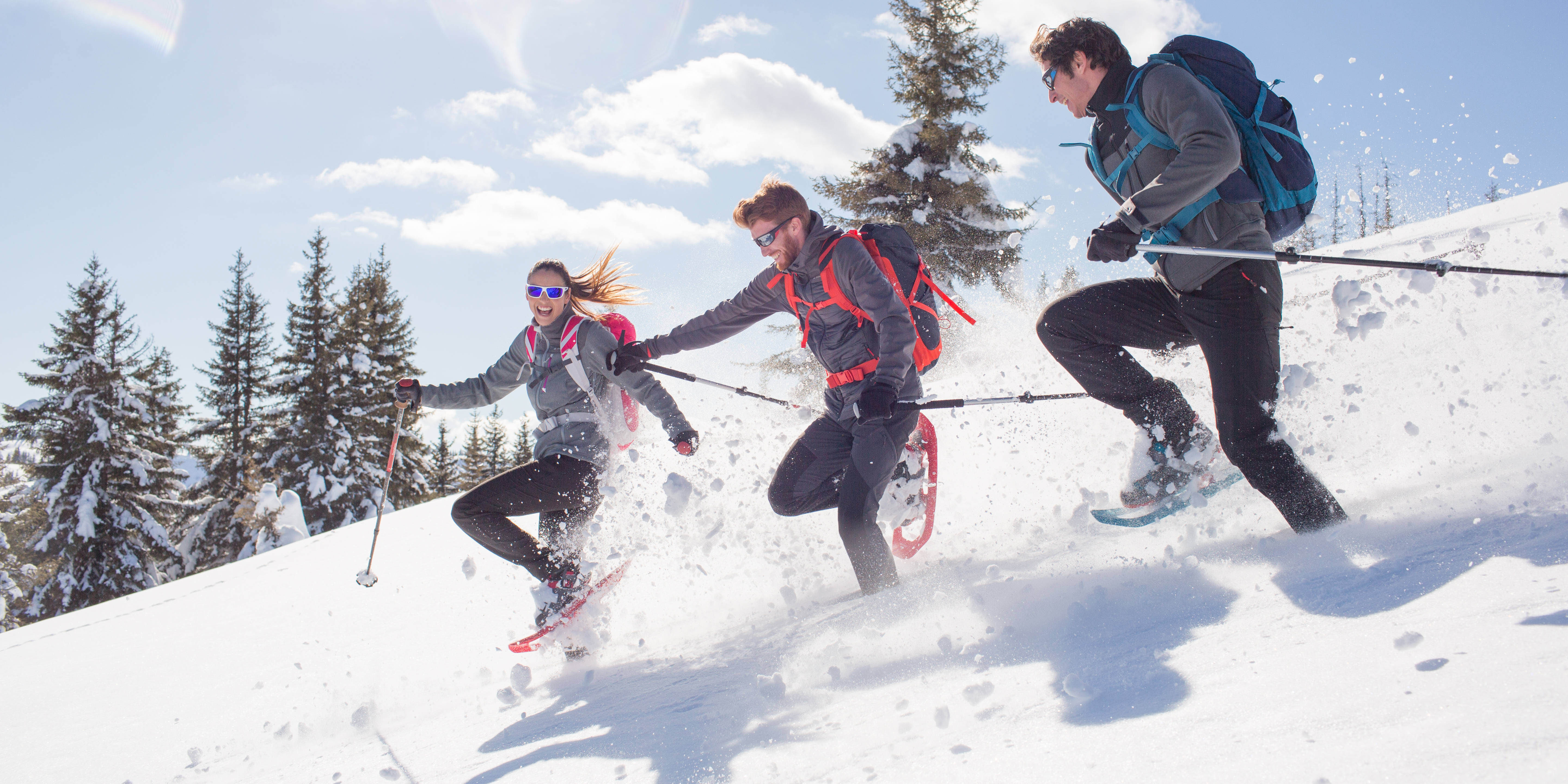 Снегоступы LM-SS-300  120кг