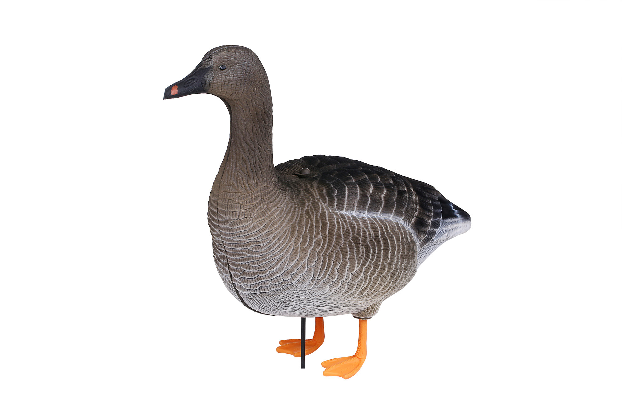 Чучело гусь белолобый, сторожевой